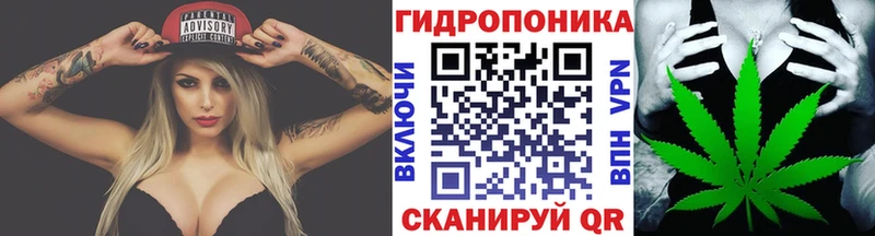 Купить  Бакал  МАРИХУАНА тримм 
